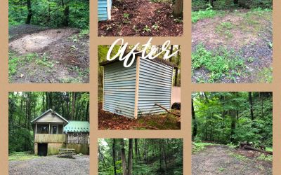 290003317 355120516751395 1046803394441214766 N